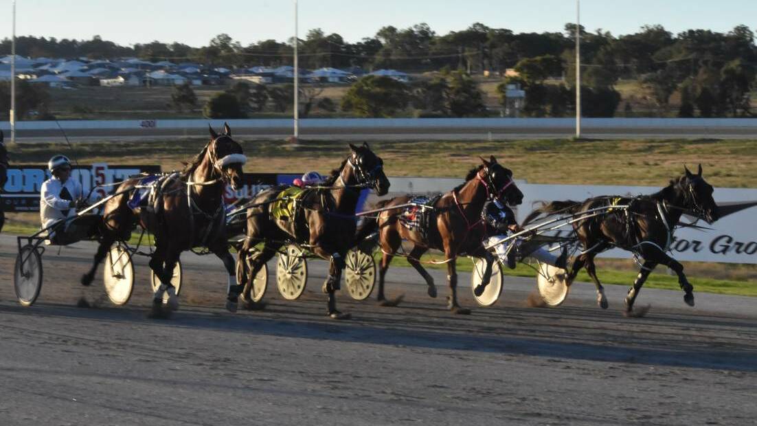 OFF TRACK: Freskos Art dives down the inside in a tight finish to the second trial at Riverina Paceway last week but rocks in the surface will see more work put into getting the surface right. Picture: Courtney Rees