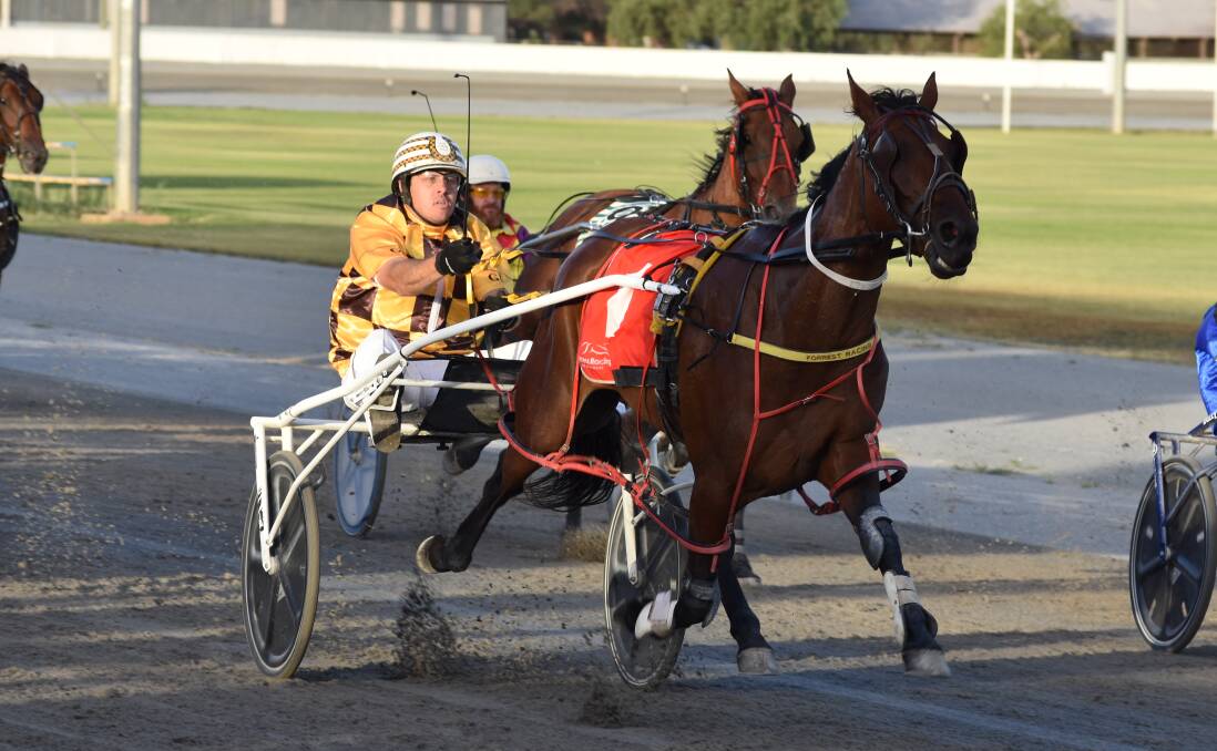 BOLTER'S ODDS: Jennas Romance scored at $34 to take out the Milbrae Quarries Final for Grant Forrest at Leeton on Tuesday. Picture: Courtney Rees