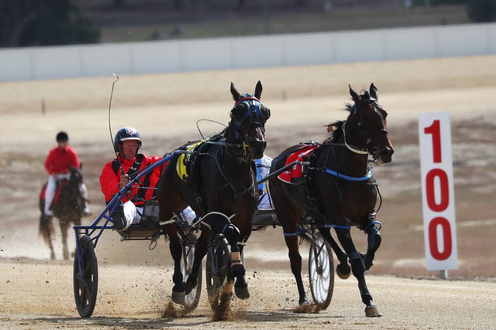 SHORTEST WAY HOME: Priority To Party comes up the inside to down Mist You and take out the HRNSW Rewards Series Final for Young trainer-driver Glenn Wilmot on Saturday. Picture: Emma Hillier