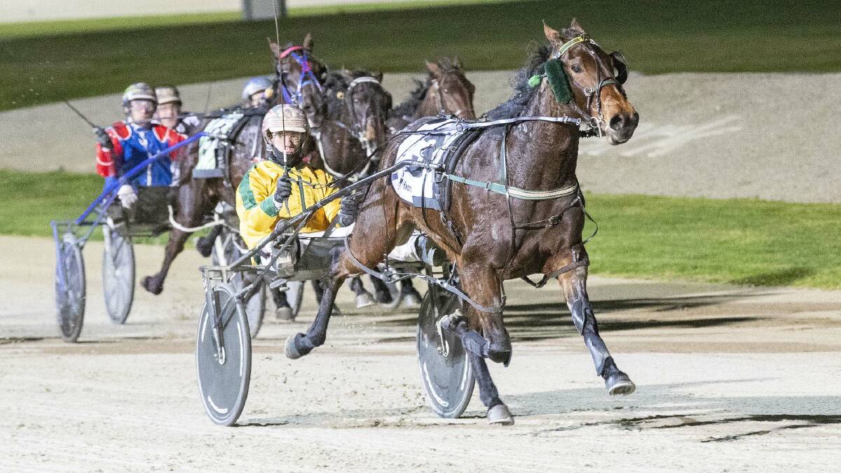 Maajda, pictured winning the Breeders Crown last season, brought up another win at Melton on Friday.
