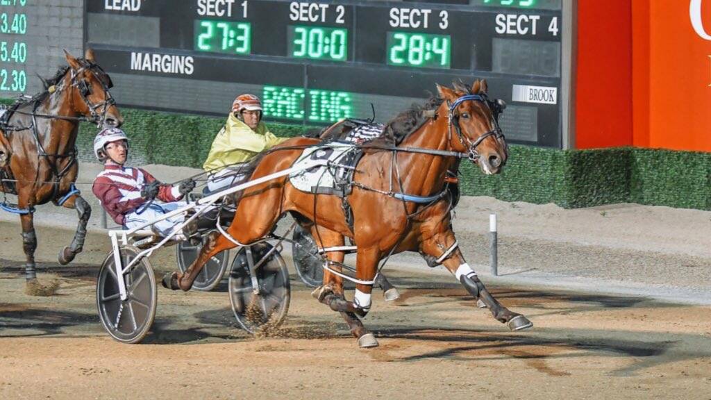 CUP HOPE: Mo Casino, pictured winning at Menangle last month, lines up in the Temora Pacers Cup on Saturday night for Rickie Alchin. Picture: Club Menangle Trackside