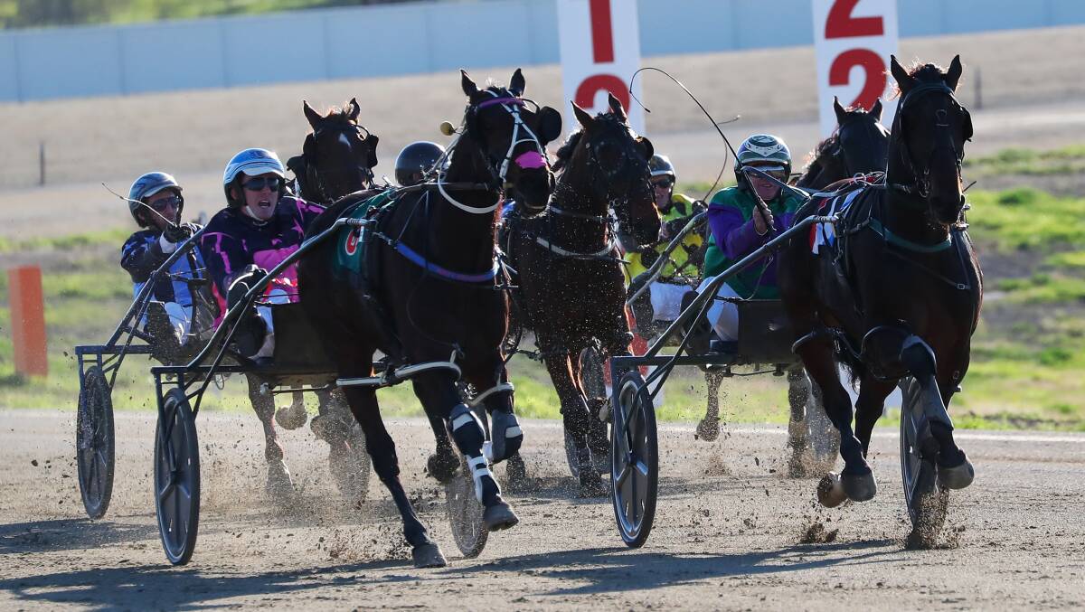 Wagga Pacers Cup winner Rusty Crackers, left, and runner up Major Roll both head to Menangle on Saturday.