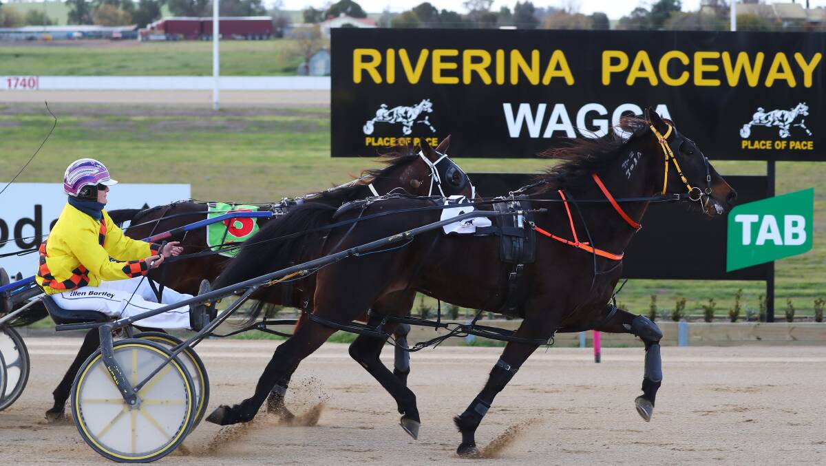 SUCCESS: Ellen Bartley drives Uroc Baby to victory at Riverina Paceway on Friday. Picture: Emma Hillier