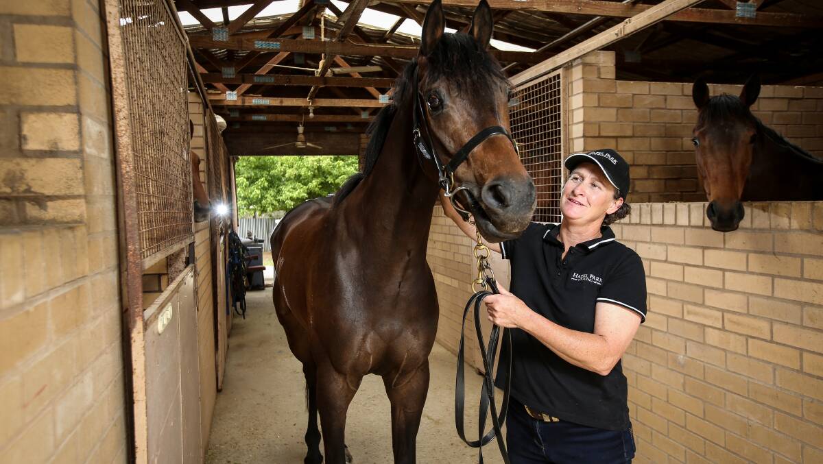 Albury trainer Donna Scott is eagerly anticipating the Country Championships with Bennelong Dancer.