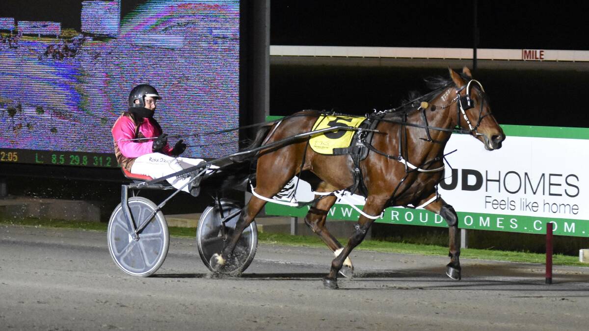 Ideal In Dreams has come up with barrier two in her NSW Breeders Challenge semi-final at Menangle on Saturday.