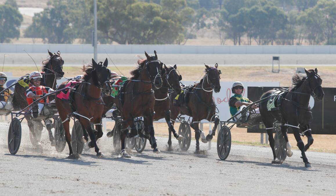 Bluto comes along the inside to win the Wagga Pacers Cup at Riverina Paceway on Sunday. Picture by Tom Dennis
