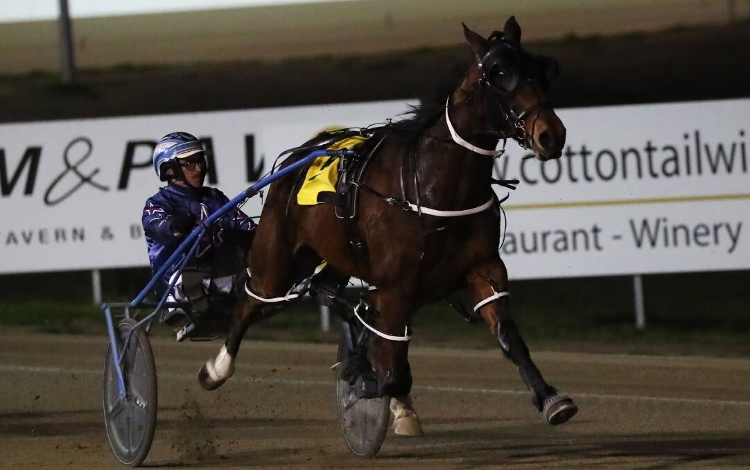 GOOD START: Last Walk got off to a perfect start for the Ellen Bartley and Blake Jones stable with a win at Riverina Paceway on Tuesday night. Picture: Emma Hillier