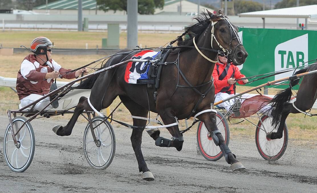 Badge Of Gameness scored his fifth career win at Leeton on Friday night.