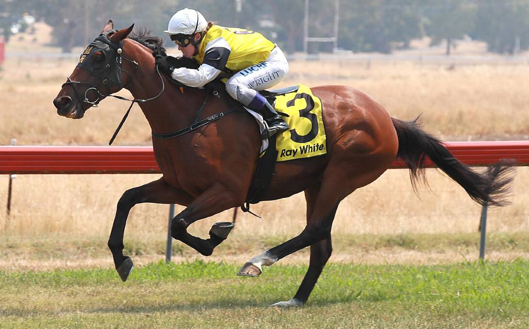 CHARGING AWAY: Tickinover storms clear of his rivals to win his first race as part of a hat-trick for apprentice jockey Belinda Wright. Picture: Les Smith