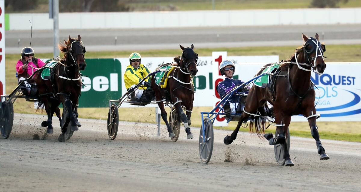Brooklyn Bridge races away from his rivals at Riverina Paceway on Friday.
