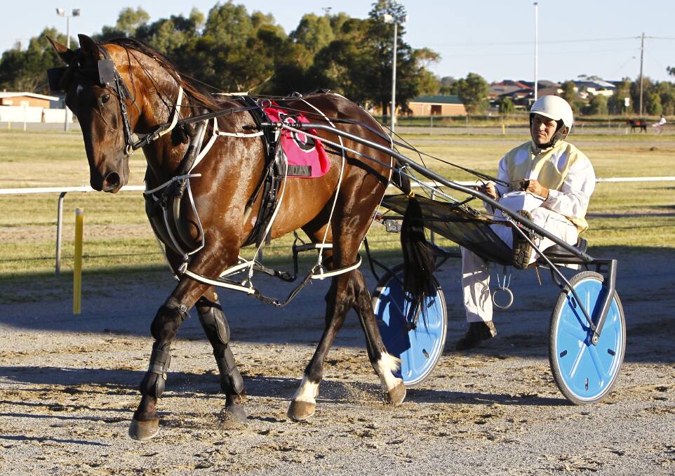 DOUBLE THE AIM: West Wyalong trainer Rodney Lemon is looking for Alabama Tyson to repeat his impressive win at Parkes last time out when they tackle a Menangle Country Series at Wagga on Friday. 
