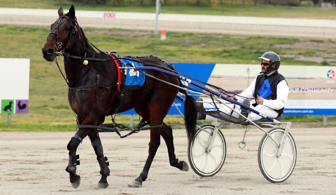 WINNING RETURN: Phillip Bryce brings back Say It Again after breaking through for his first driving win in almost two years on Friday. Picture: Les Smith