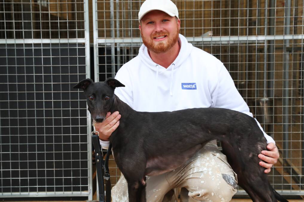 Mitch Williams is hoping Indigo Summer can extend her great run from box one at Wagga on Sunday.