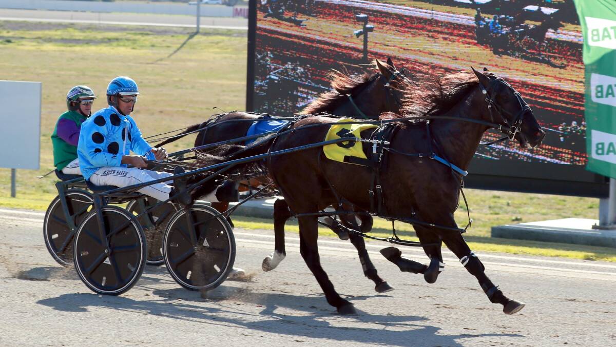 WINNING START: Matthew Harris and Backbencher, pictured winning on debut at Riverina Paceway last month, are out to make it two from two at Young on Tuesday night. Picture: Les Smith