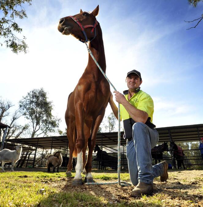 EXTRA SPECIAL: Wagga trainer Trevor Sutherland with Spare Parts, who made it to the track after being born with a fifth leg.