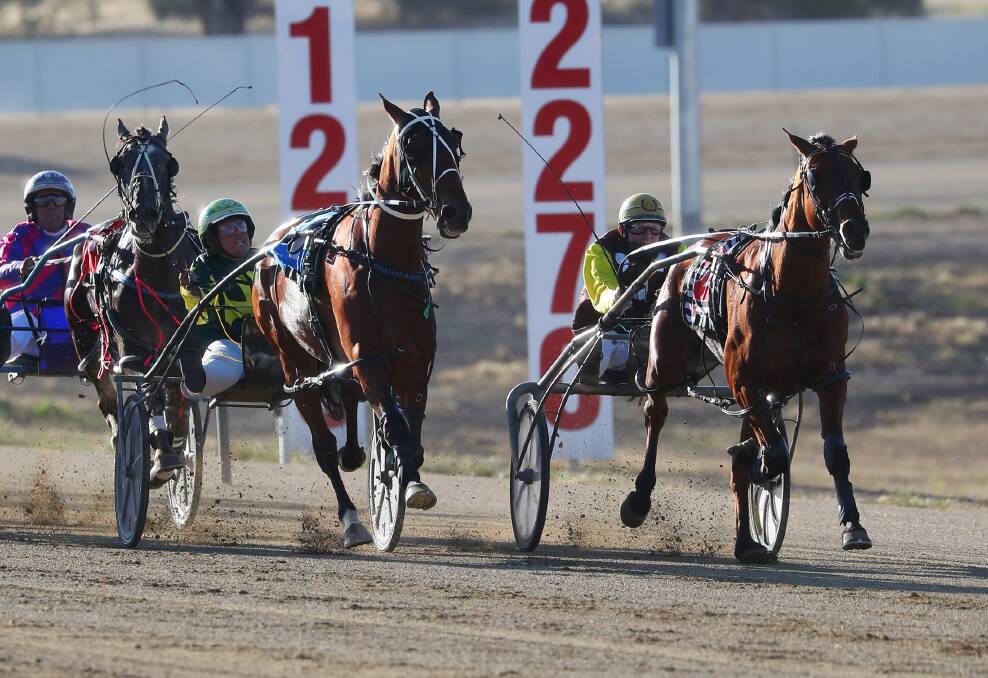 TIGHT FINISH: Trevor White and Dust To Diamonds come along the sprint lane to down Blake Micallef and Dragon Stride by a half head at Riverina Paceway on Tuesday. Picture: Emma Hillier