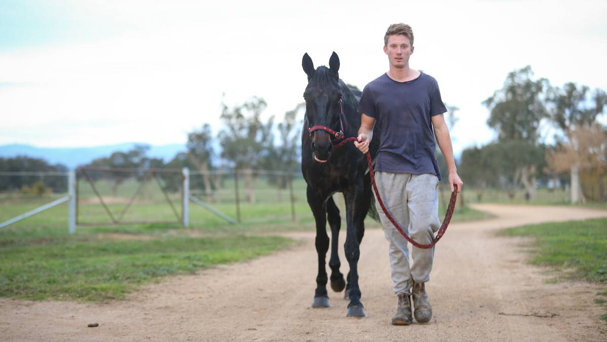 READY TO ROCK: James McPherson with Rocky Creed ahead of the Regional Championships final on Friday. McPherson is unable to take the drive for his uncle, Lavington trainer Chris McPherson, with the feature a group one. Picture: JAMES WILTSHIRE