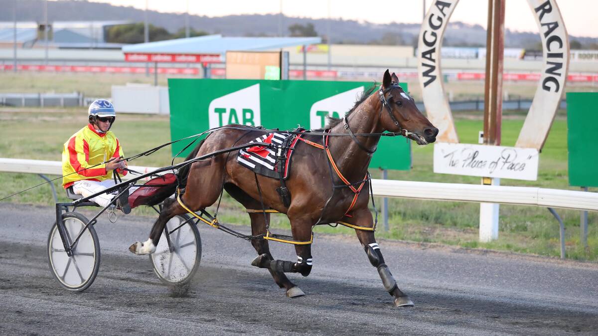 Onthestraitenarrow hasn't raced since winning the Christmas Cup at Wagga in December 2017.