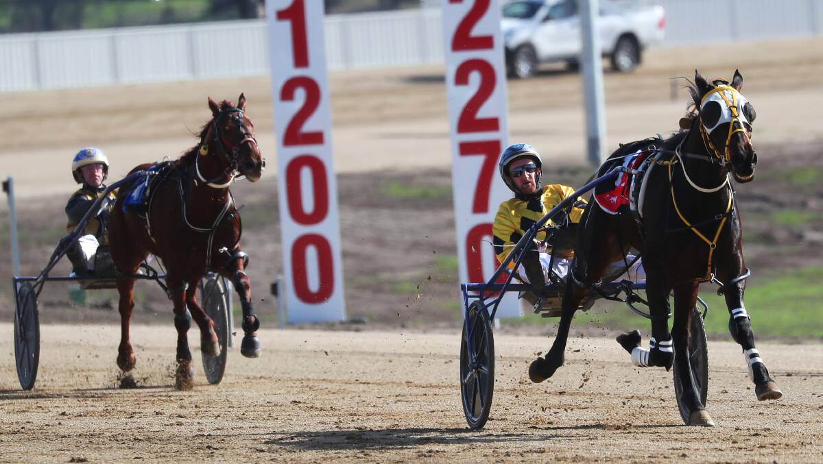 AWAY HE GOES: Jackson Painting guides Luckie to success at Riverina Paceway on Sunday. It was his fourth winner for the weekend after a treble at Leeton on Saturday. Picture: Emma Hillier