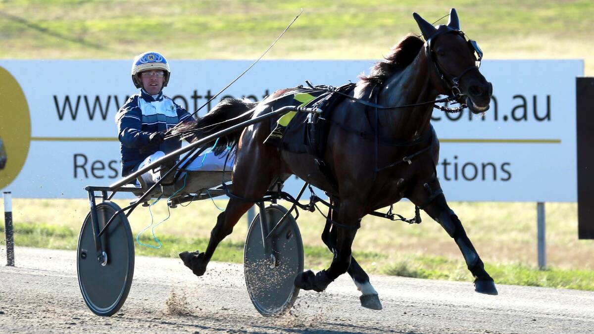 After winning the inaugural mares Riverina Championships last year, Cameron Hart was two drives across the four heats on Friday.