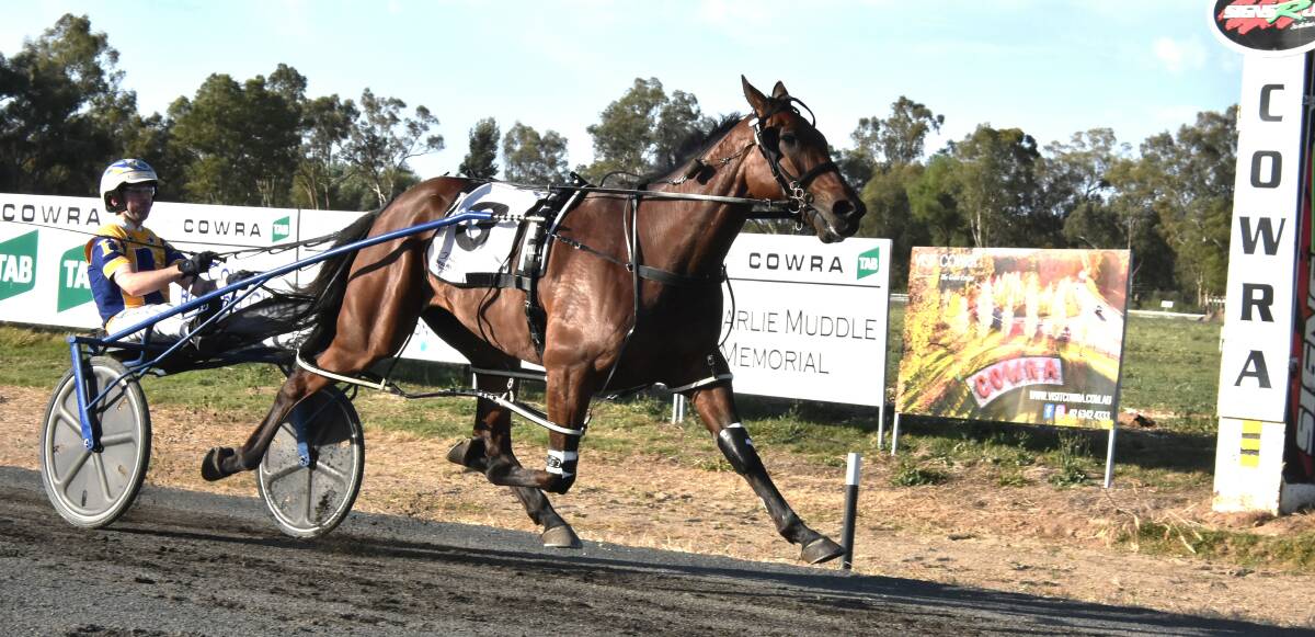 After winning the first leg of the new Carnival Of Cups circuit at Cowra, pictured, Pas Guarantee is eyeing off the second one at Young on Friday night for former Temora trainer Jarrod Alchin.