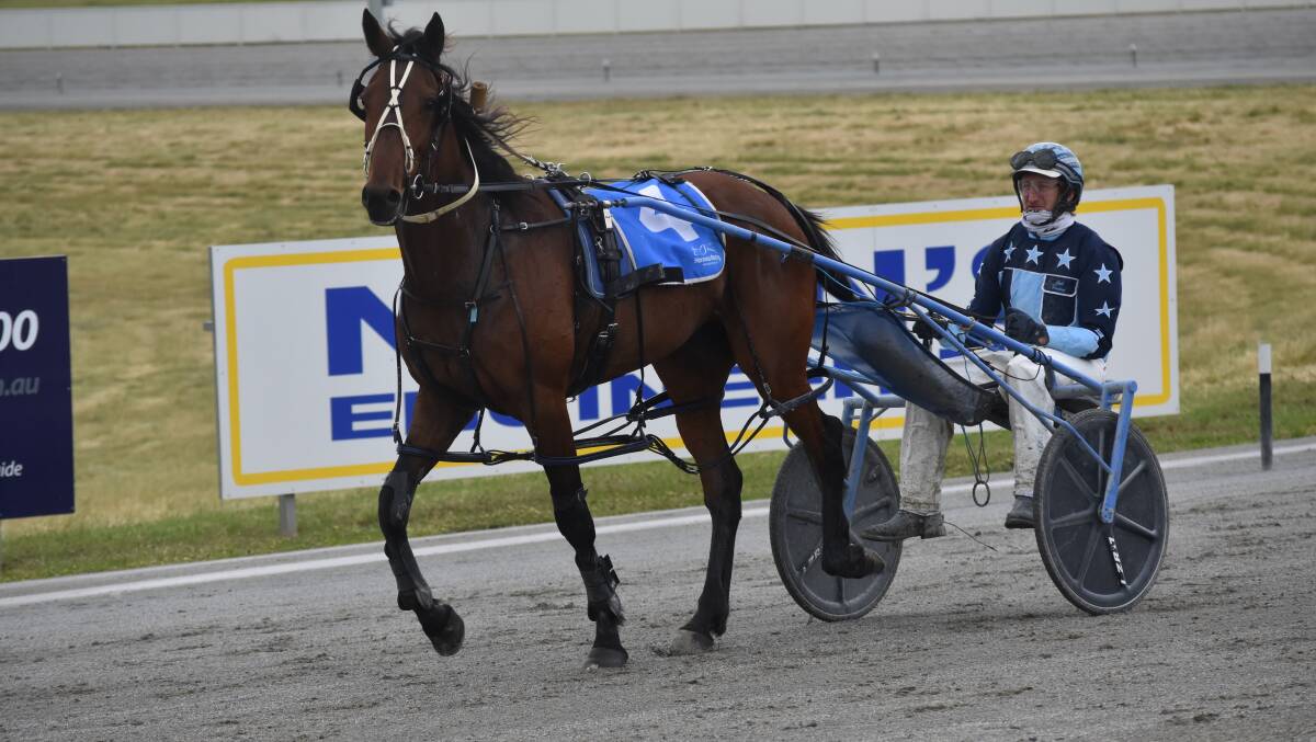 Jackson Painting returns after Arties Dime's win at Wagga on Friday.
