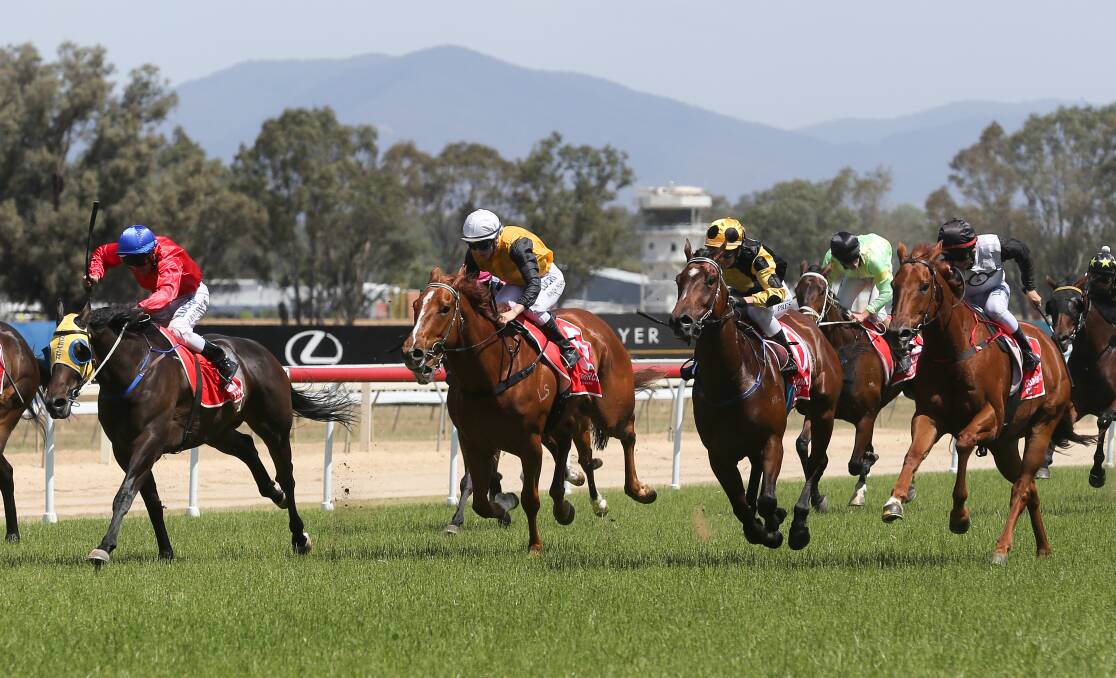 TIGHT FINISH: Rebeka Prest (yellow and black spots) urges Liberty Boy to the line as part of a winning treble at Albury on Saturday. Picture: Kylie Esler