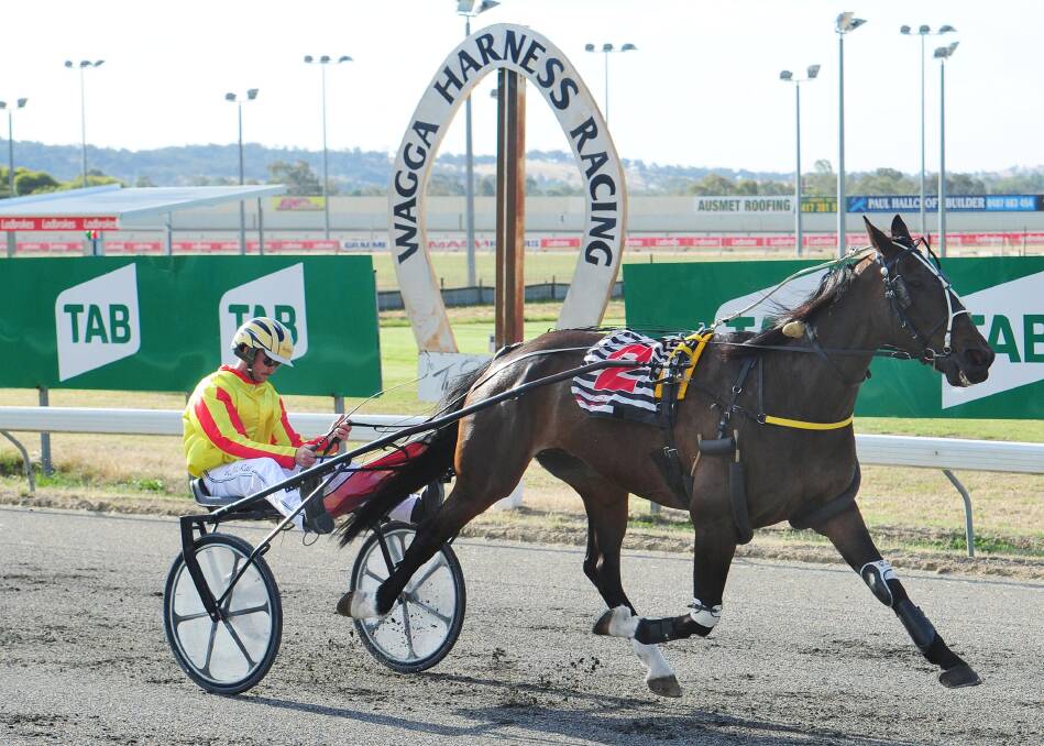 DOMINANT EFFORT: Papa Camelot stretches out for a drought-breaking win at Wagga on Tuesday night. Picture: Kieren L Tilly