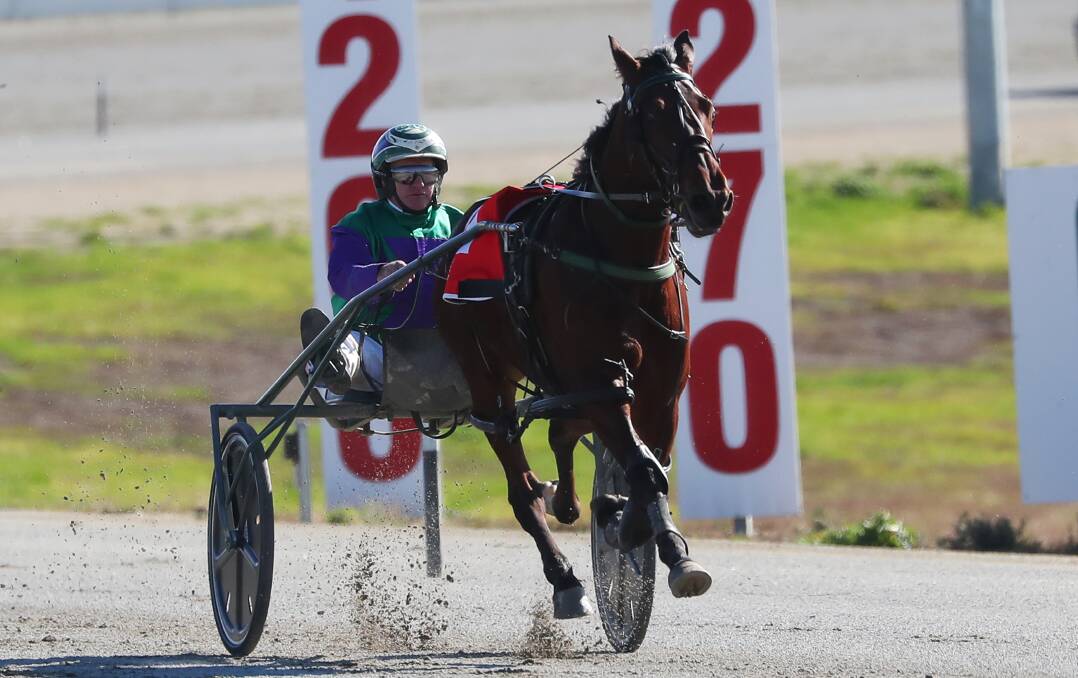 Stephen Maguire is chasing back-to-back wins with Noble Trick at Riverina Paceway on Friday.