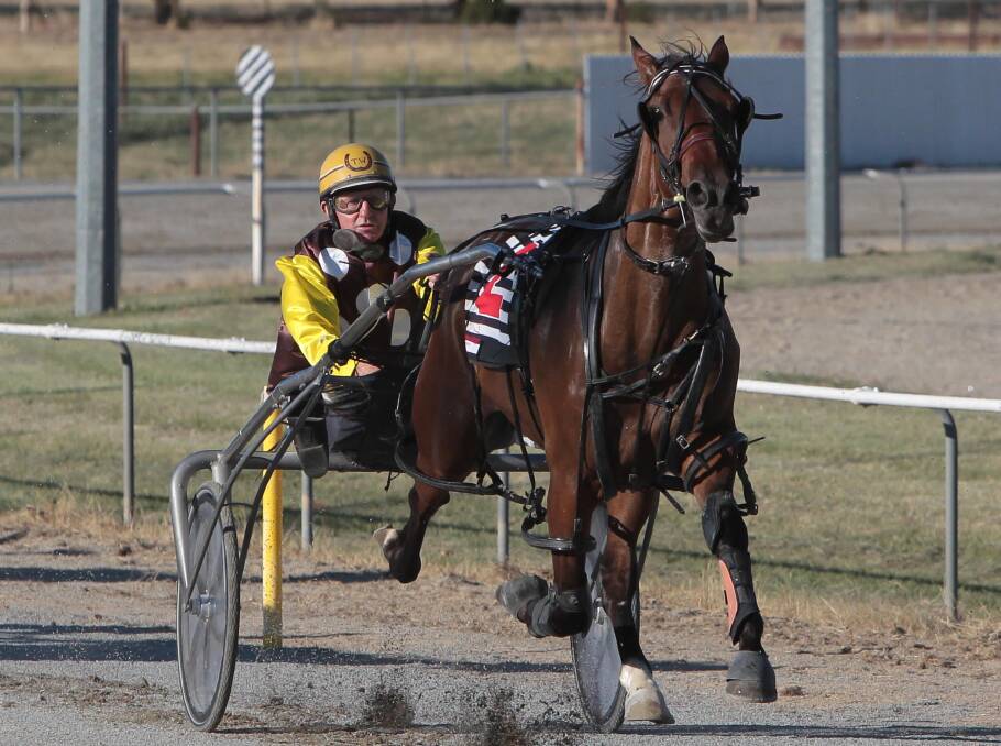 Trevor White has a slender lead in the Wagga trainer's premiership heading into the final race of the season on Friday.