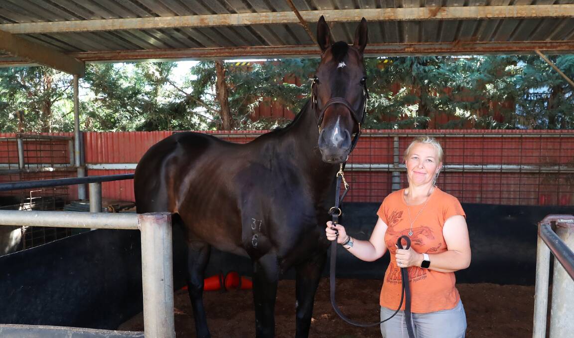 NEXT AIM: Blitzar, pictured with Cindy Browne, will compete in his final lead up race to the Country Championships at Murrumbdigee Turf Club on Thursday. Picture: Emma Hillier