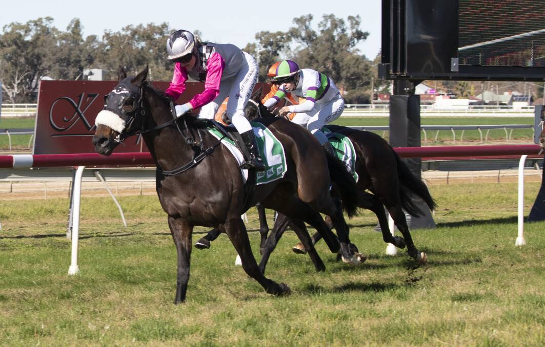 GOOD FORM: Vintage Diesel is looking to add to his impressive record at Wagga in the Riverina Cup on Sunday.