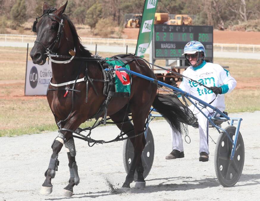 Western Sonador made it four wins from five starts for Blake Jones and Ellen Bartley at Riverina Paceway on Friday ahead of the group one Regional Championship.
