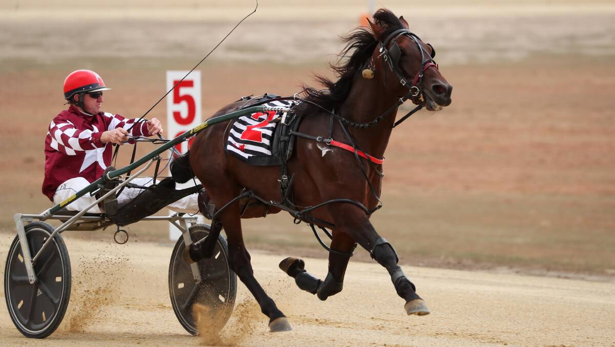 OFF AND AWAY: Neil Day takes El Aguila to the line to win the first race at Wagga's new harness racing track on Monday. Picture: Emma Hillier