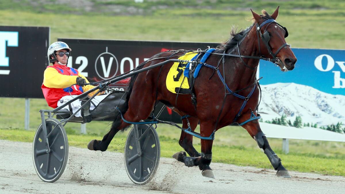 AWAY SHE GOES: Peter McRae drives London Lady to her first victory at start 17 for Kevin Wheatley at Riverina Paceway on Friday. Picture: Les Smith