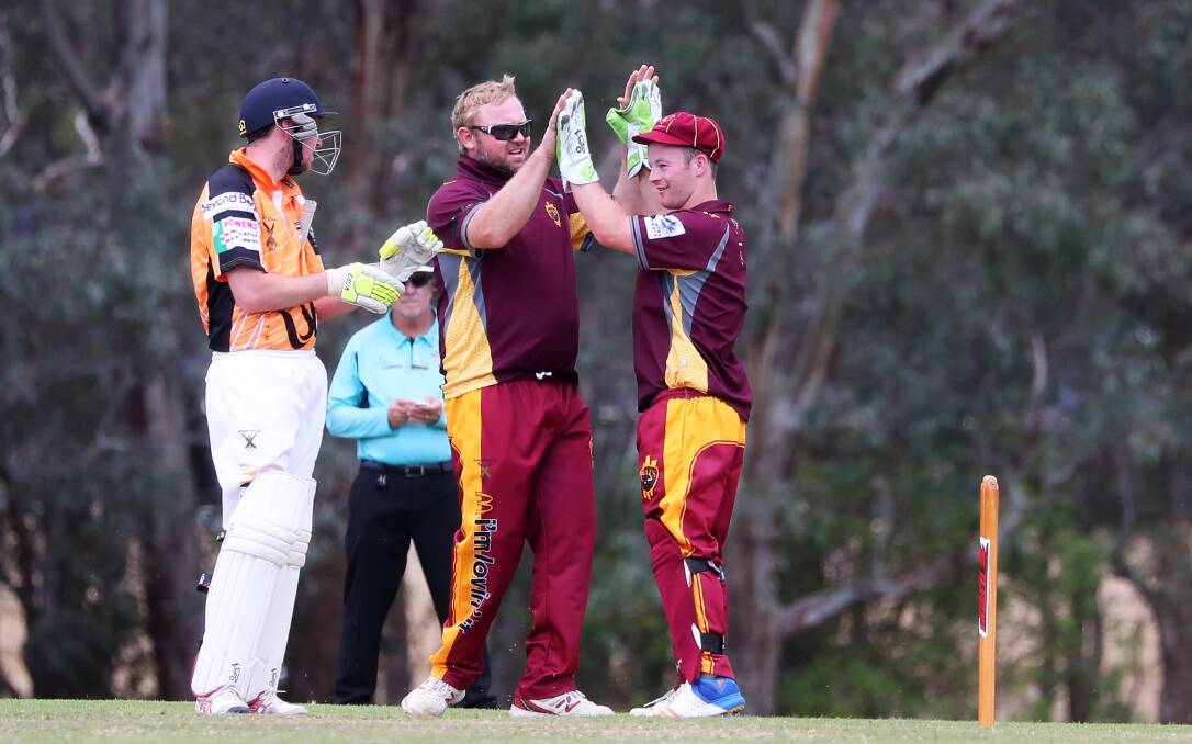 WINNING RETURN: Lake Albert captain Kurt Robertson and wicketkeeper Nick Skelly celebrate another Wagga RSL wicket on Saturday. Picture: Emma Hillier