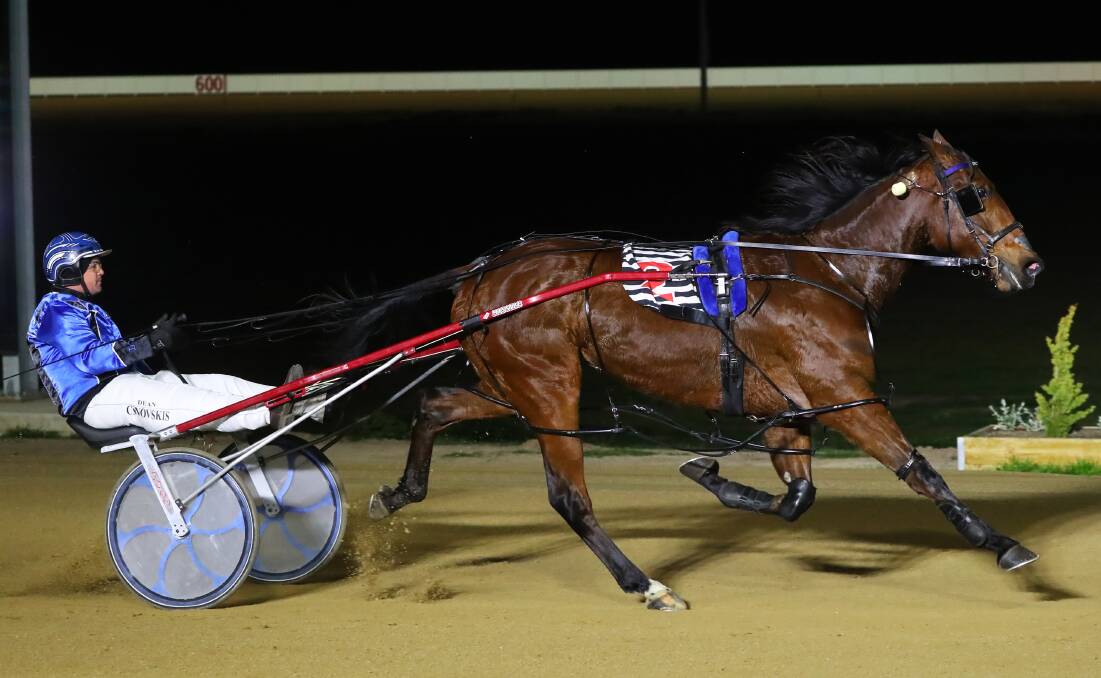 STRONG PERFORMANCE: Game Set Major backed up an impressive win at Albion Park last week at Riverina Paceway on Friday night.