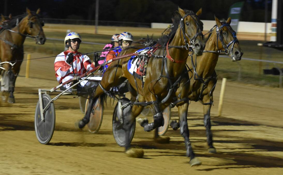 Saloon Passage, pictured winning the Temora Pacers Cup last year, is out to defend his crown.