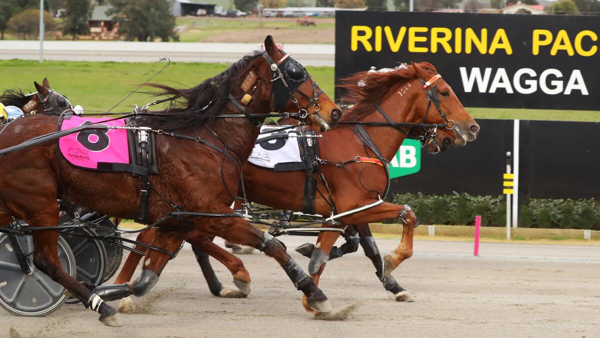 Heres Your Bonus wins another tight finish at Riverina Paceway on Friday.