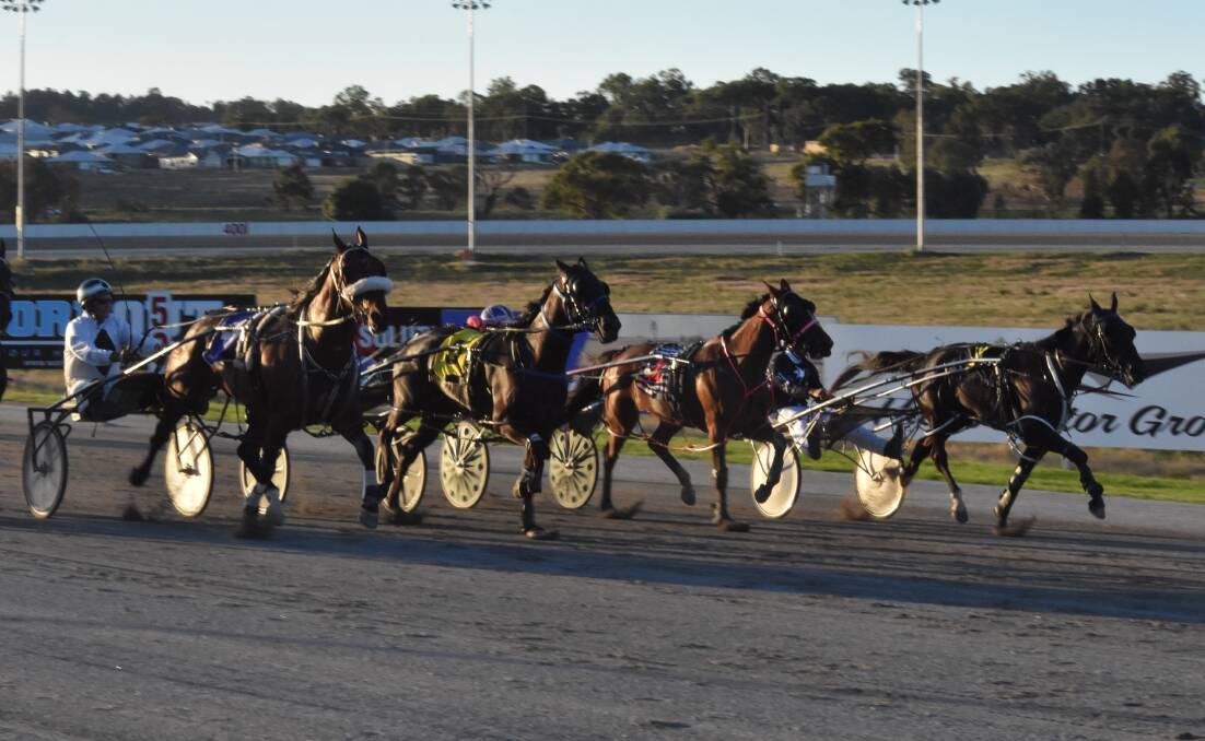 BACK ON TRACK: Freskos Art dives down the inside in a tight finish to the second trial at Riverina Paceway on Wednesday. Picture: Courtney Rees