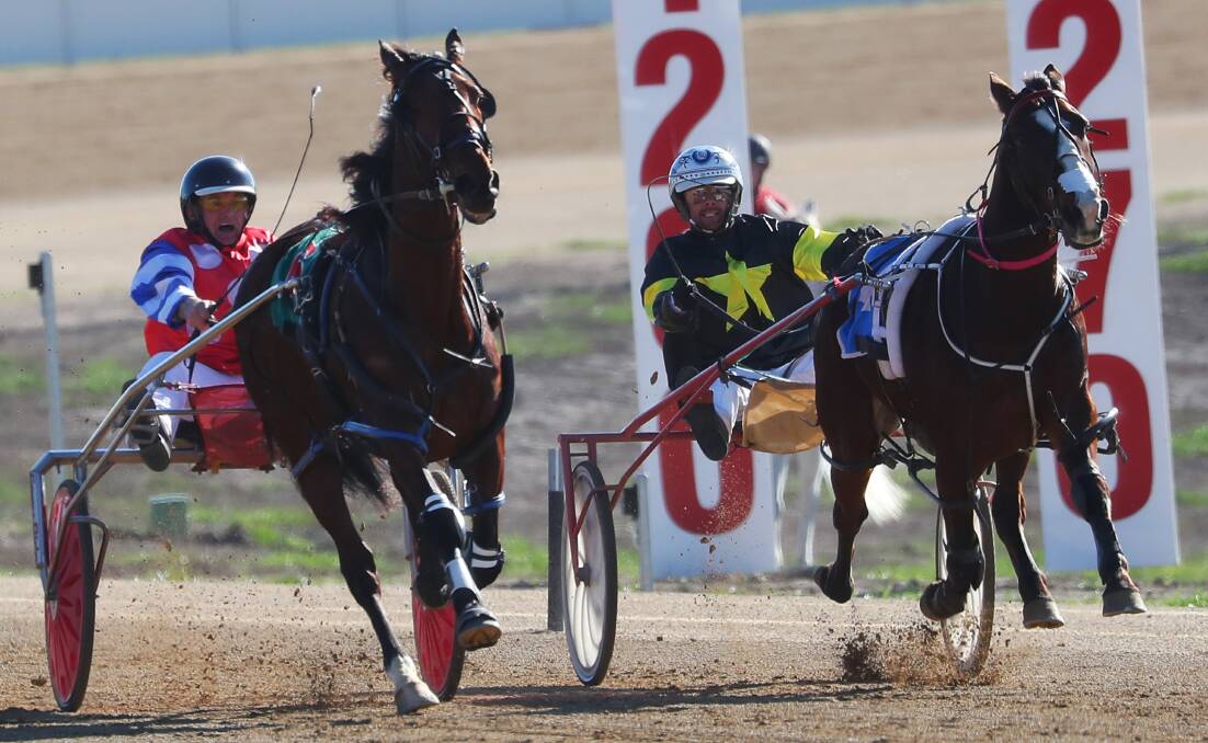 BREAKTHROUGH: Dancing Lilly holds off Pocket Blaster to lead all the way and bring up her first win for trainer-driver Graham Looby at Riverina Paceway on Monday. Picture: Emma Hillier