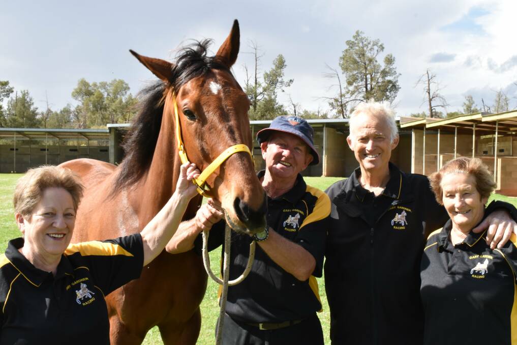 CUP HOPE: Heather and Gary Gardner and George and Donna Duncan will be cheering on Untythehood in the Griffith Pacers Cup. Picture: Shaun Paterson