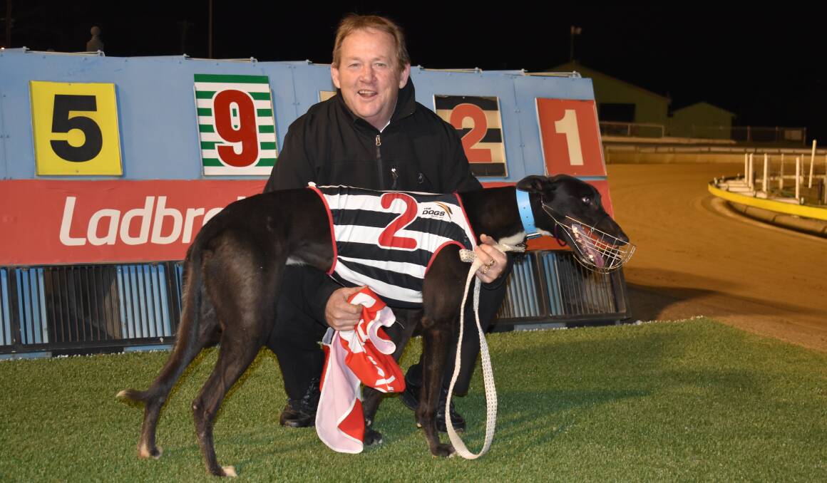 DOUBLE ACT: Handler Graham Sheather with London Tom after his win at Wagga on Friday night. It was part of a double for Jack and Lorraine Roy. Picture: Courtney Rees