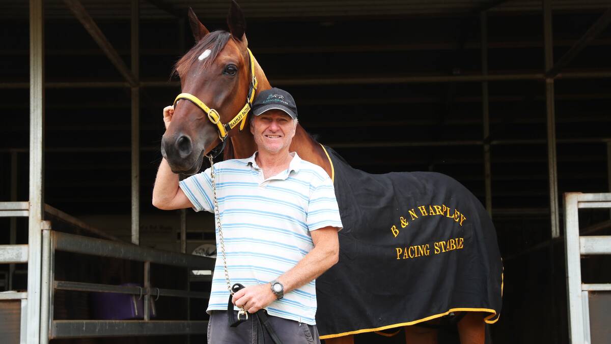 READY TO ROLL: Junee trainer-driver Bruce Harpley is chasing a breakthrough performance with Roll One Over in the Junee Pacers Cup on Sunday. Picture: Emma Hillier