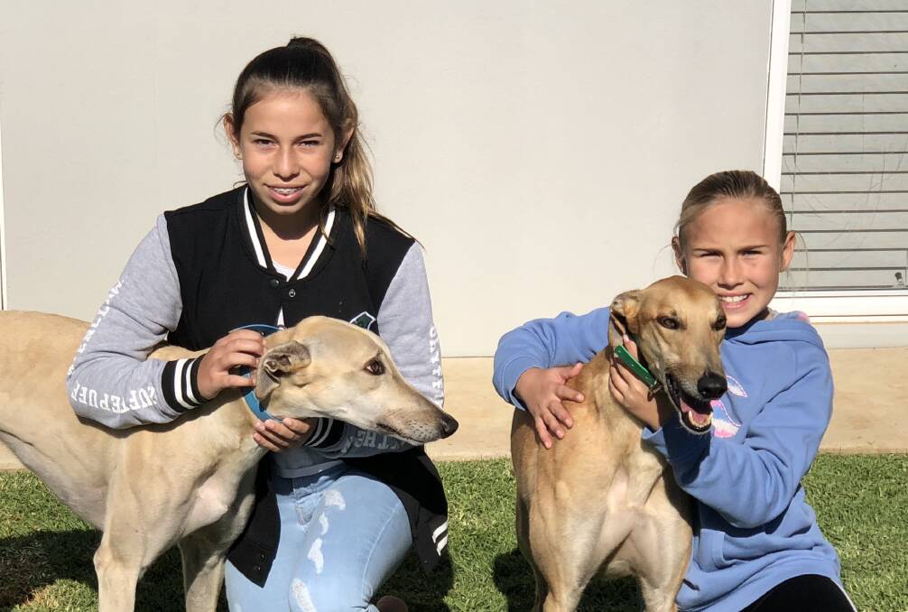 CUP HOPEFULS: Aqua Divergent, with Piper Robertson, 13, and Aqua Cheetah, with Indiana Robertson, 10, race in Wagga Gold Cup heats on Friday. 