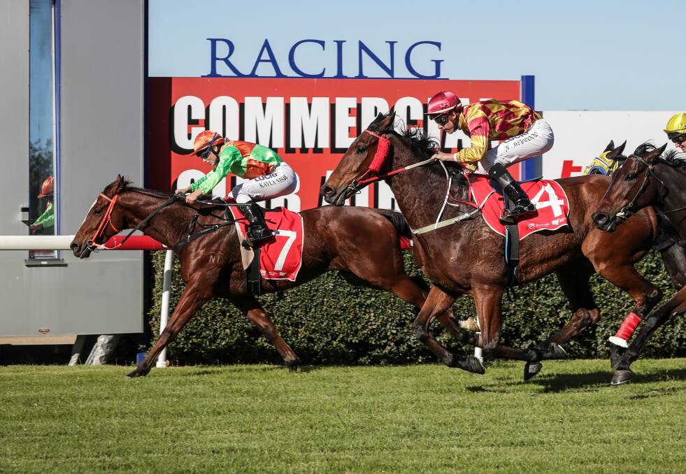 TIGHT FINISH: Kayla Nisbet guides My Kind to victory over Smooth Danish for Henty trainer Rod Weston at Albury on Monday. Picture: The Border Mail