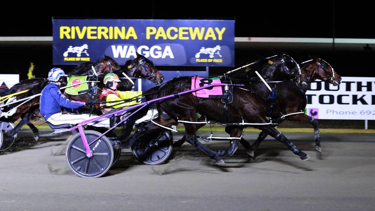 FIGHTING FINISH: Father Bob holds off Forever Yin
to take out the Regional Championships Final
at Riverina Paceway on Sunday. Picture: Les Smith