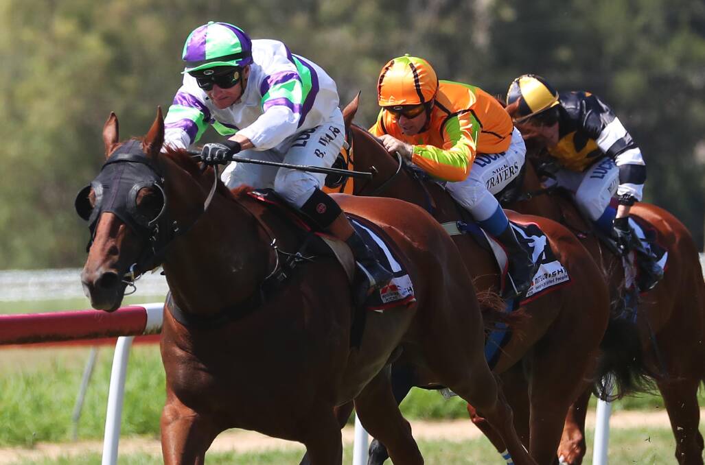AWAY HE GOES: Ammerland runs away from his rivals to win his first race at Gundagai on Tuesday for Albury trainer Rob Wellington and jockey Brendan Ward. Picture: Emma Hillier