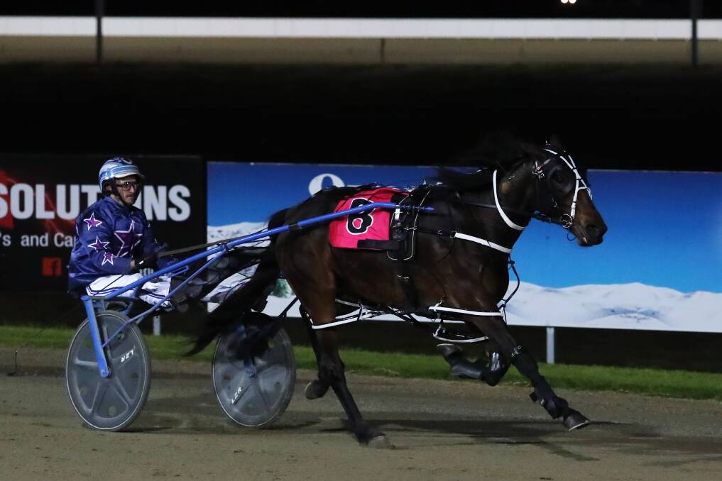 BACK TO HER BEST: Brooklyns Best provided Blake Jones with three heat wins in the Regional Championships. He will wait for the barrier draw before deciding on whether he drives the mare or Western Sonador. Picture: Emma Hillier