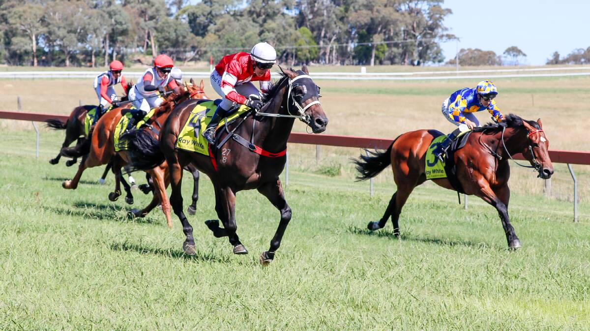 Eamonn's Memory charges past Toronto Rain to win the Tumbarumba Cup on Saturday. Picture by Les Smith